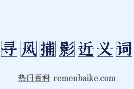 寻风捕影近义词是什么意思的图片